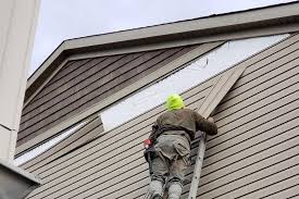 Best Vinyl Siding Installation  in Kirksville, MO